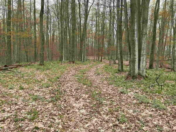 $99,000 | 20-acres Zimmerman Road Northwest, Alden, MI 49612