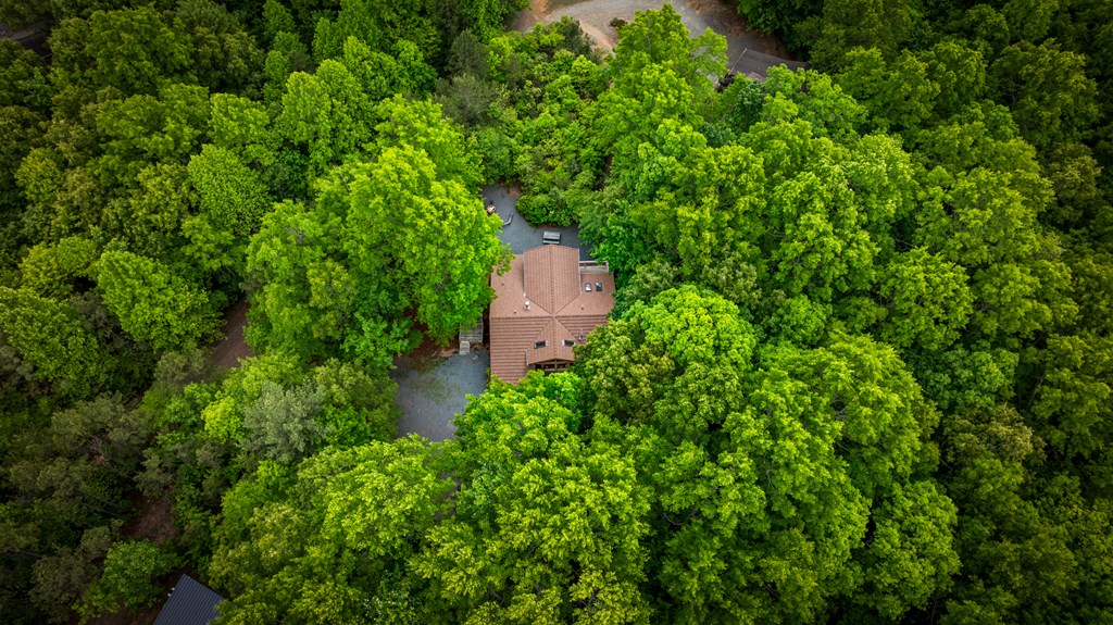 28 Hawkeye Ridge Blue Ridge, GA 30513 - Photo 36 of 104 Gallery Image 36