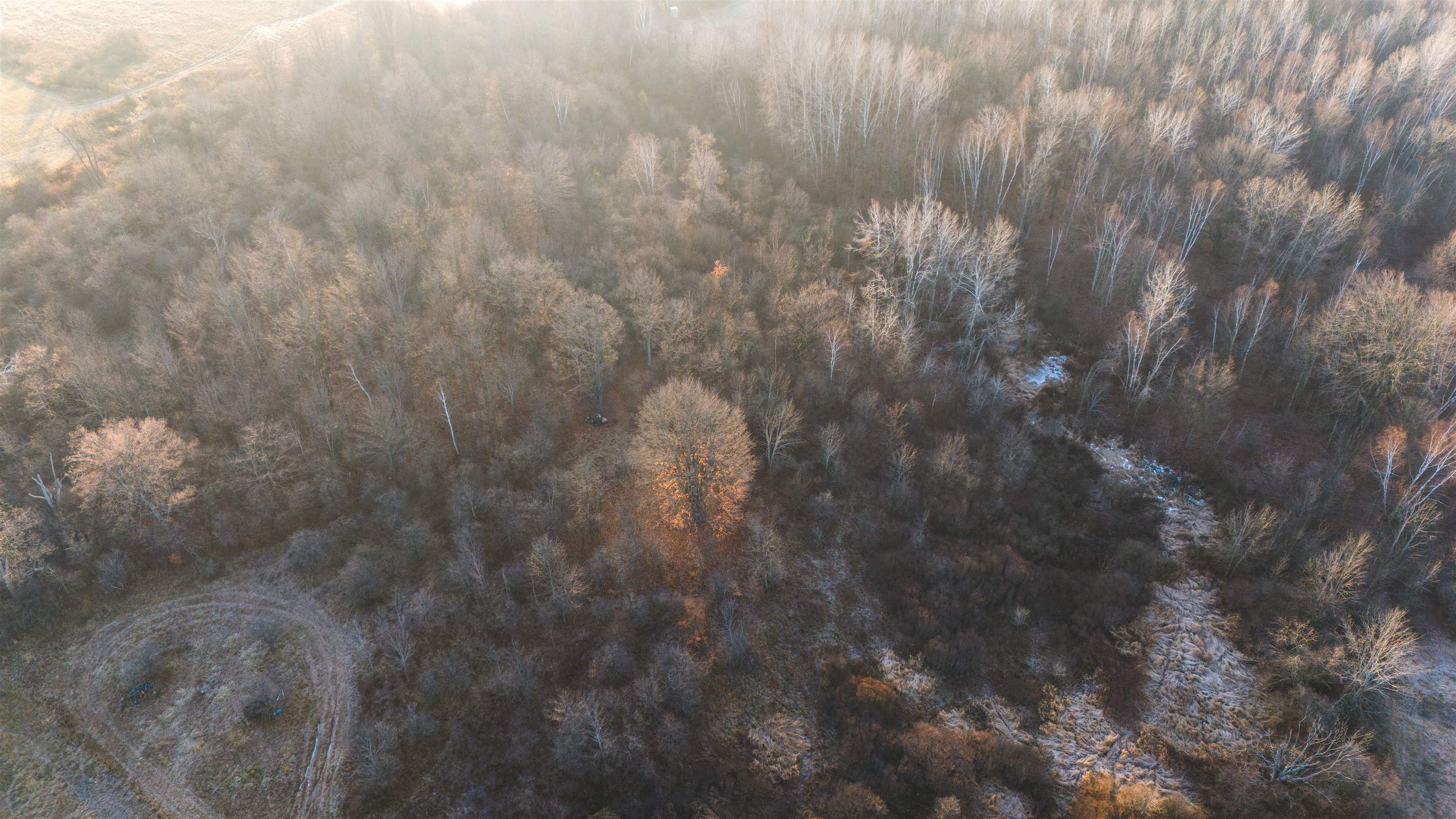 Four 4 Mile Road Evart, MI 49631 - Photo 33 of 38