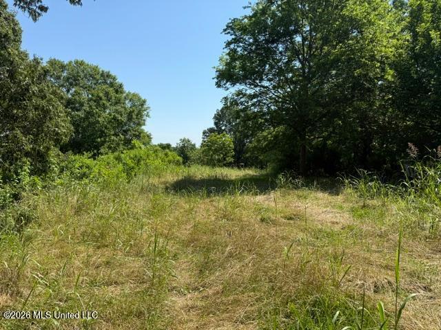 53 Cliffs Plantation Road Natchez, MS 39120 - Photo 7 of 23 53 Cliffs Plantation Pic 7