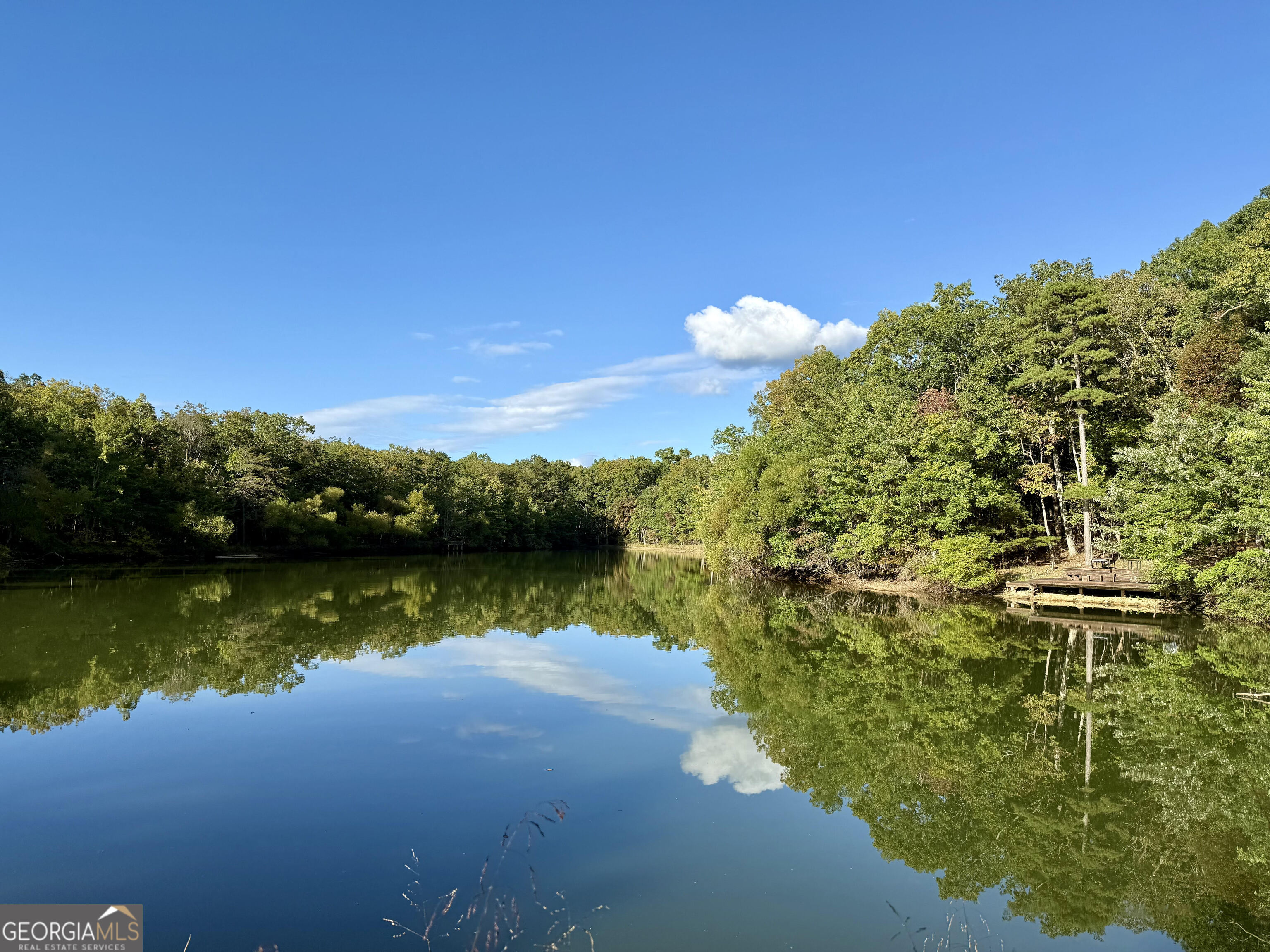 65 Eagle Bluff Road Menlo, GA 30731 - Photo 39 of 42 a view of a lake with houses in the background