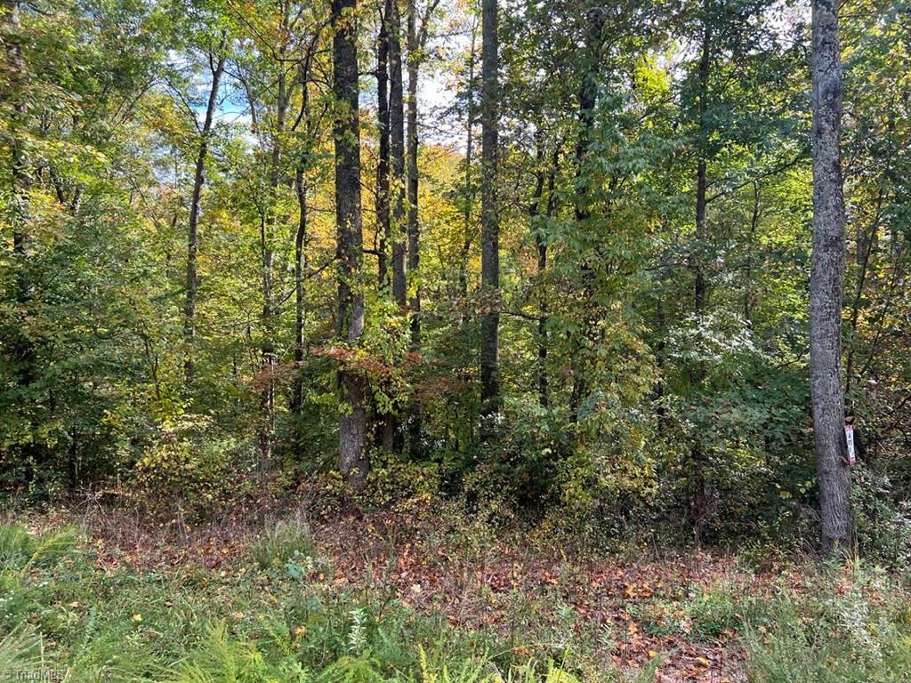 0 Greenhill Road Mount Airy, NC 27030 - Photo 1 of 6 Gallery Image 1