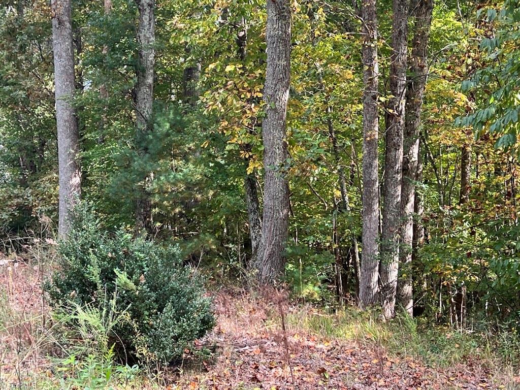 0 Greenhill Road Mount Airy, NC 27030 - Photo 3 of 6 Gallery Image 3