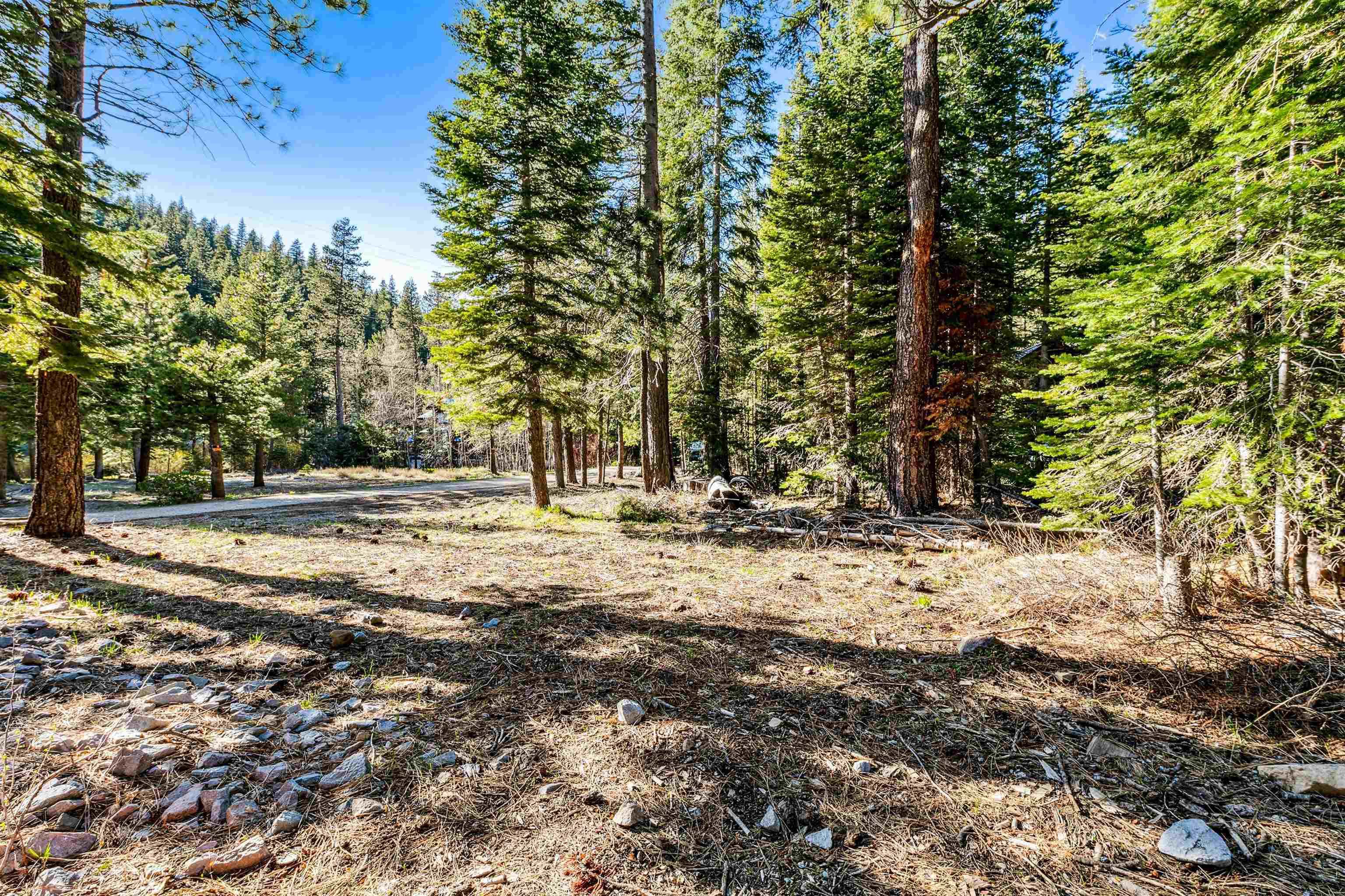 7898 River Road Truckee, CA 96161 - Photo 13 of 20 a view of road with trees