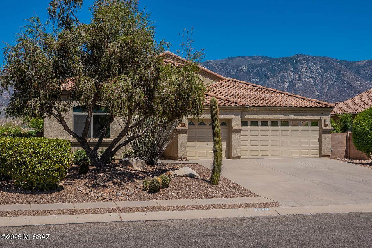 15114 North Rugged Lark Drive Tucson, AZ 85739 - Photo 1 of 49