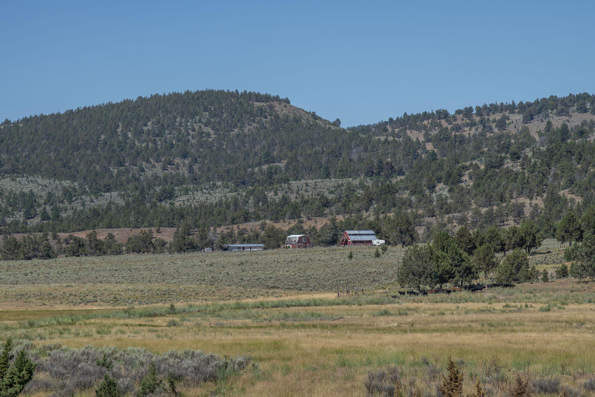 32500 Tackman Road Prineville, OR 97754 - Photo 21 of 112