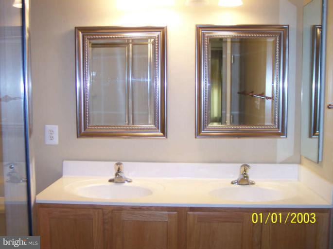 84 Riggs Road Fredericksburg, VA 22405 - Photo 12 of 22 Bath (Master)