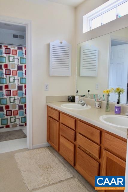 82 Northridge Road Ruckersville, VA 22968 - Photo 12 of 23 a bathroom with a sink a vanity and a mirror