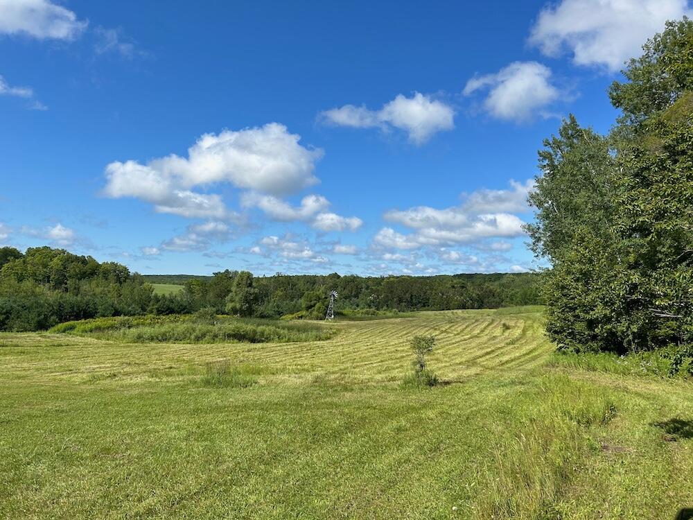 Vl Curtisville Road Mio, MI 48647 - Photo 11 of 141 7(1)