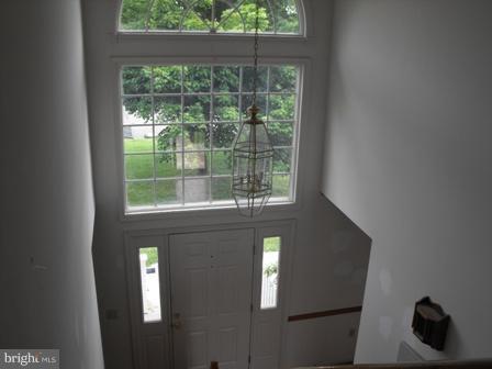 Interior (General)