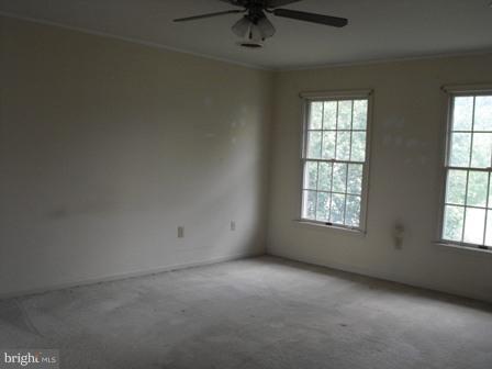 1129 Kesler Road Front Royal, VA 22630 - Photo 10 of 14 Bedroom (Master)