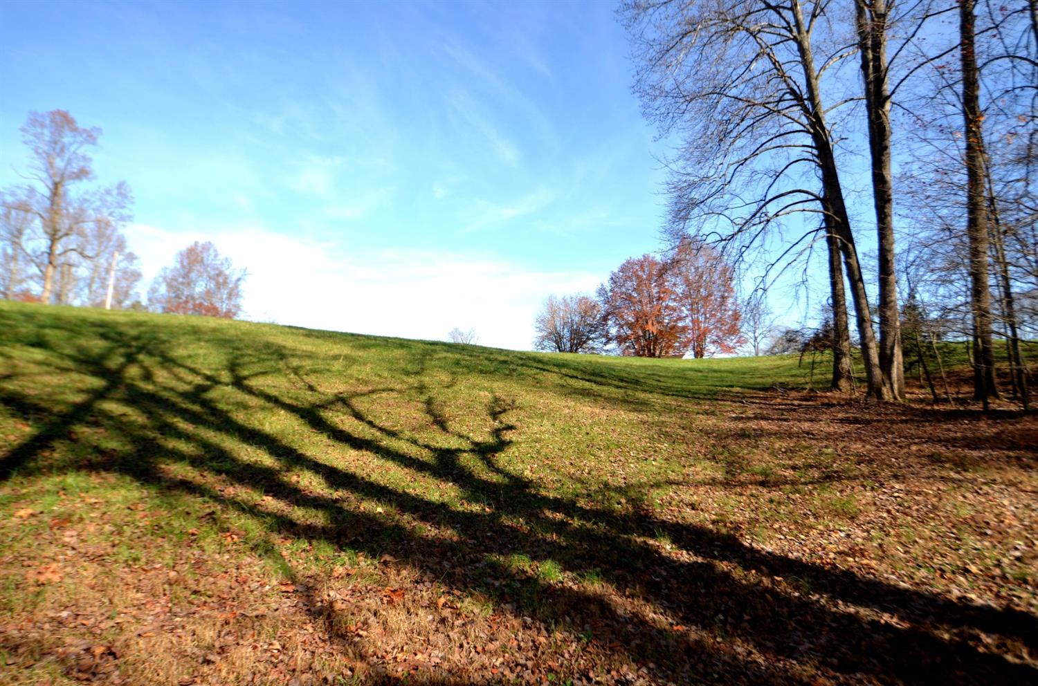 144 Opossum Run Road Irvine, KY 40336 - Photo 8 of 34 Fresh mountain air only minutes from dow