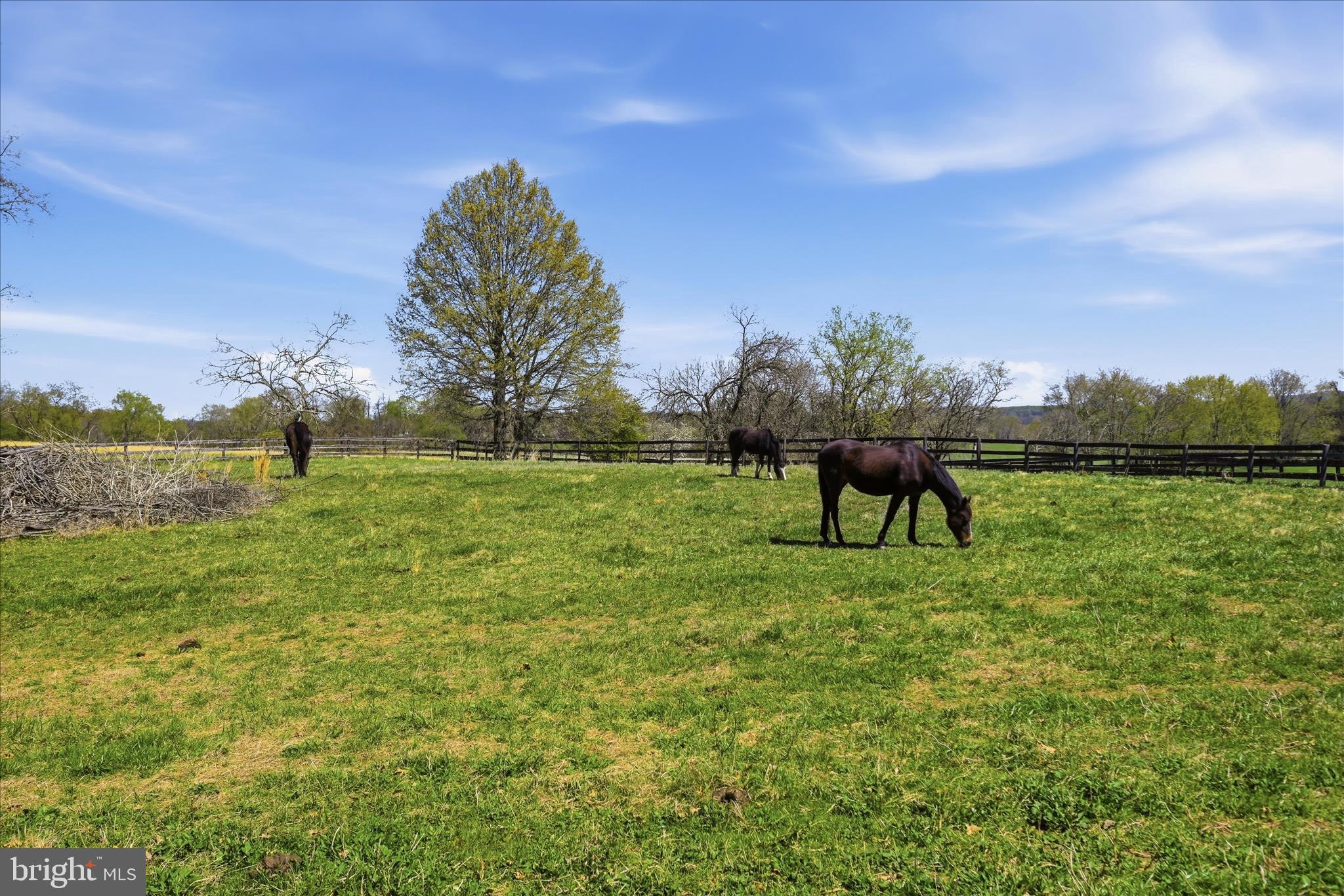 2517 5 Points Road Marshall, VA 20115 - Photo 112 of 145 Pasture
