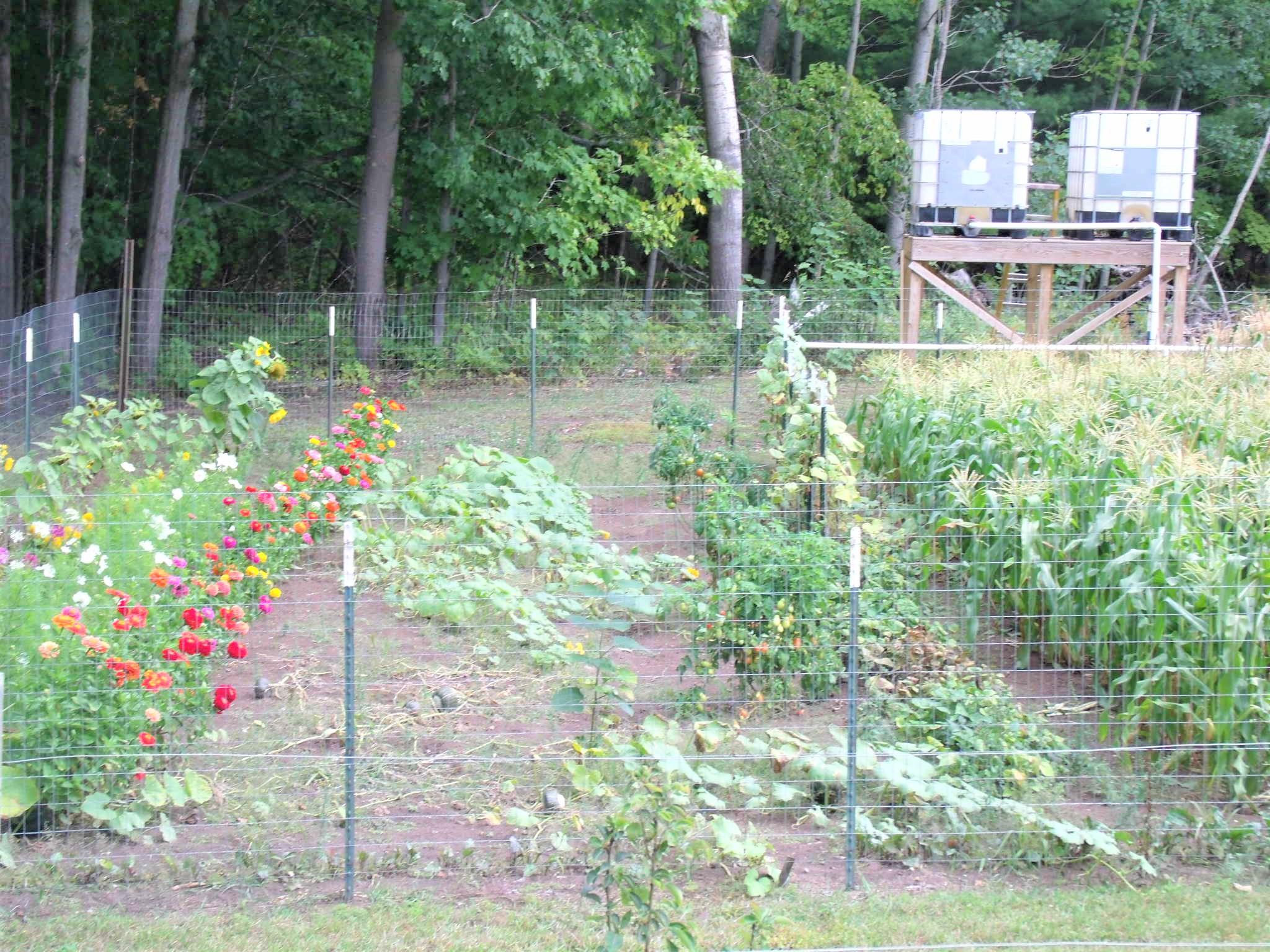 8126 Mullett Lake Road Cheboygan, MI 49721 - Photo 55 of 70 Gallery Image 55