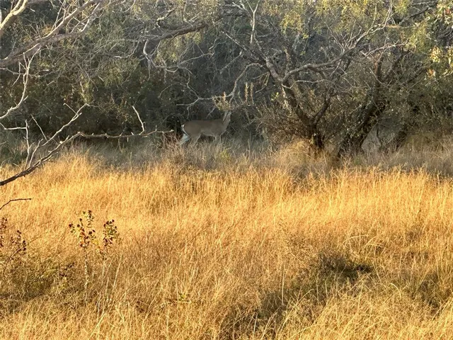 a view of swimming pool from a yard