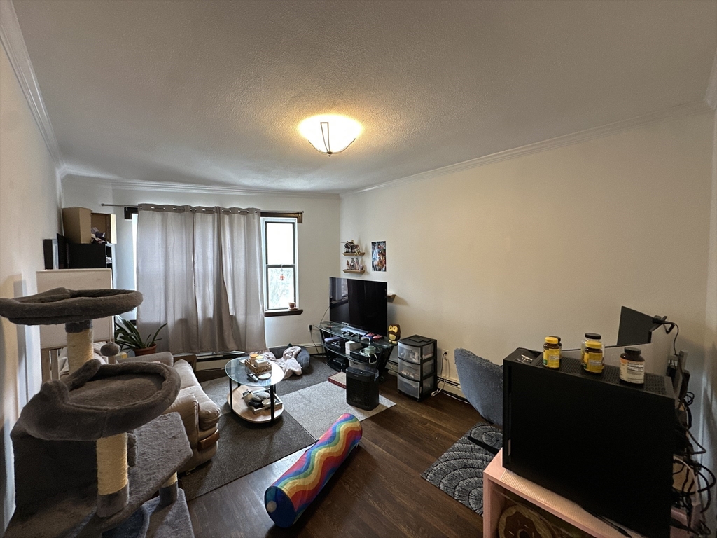 435 Walnut Avenue, Unit 8 Boston, MA 02119 - Photo 1 of 12 a room with furniture