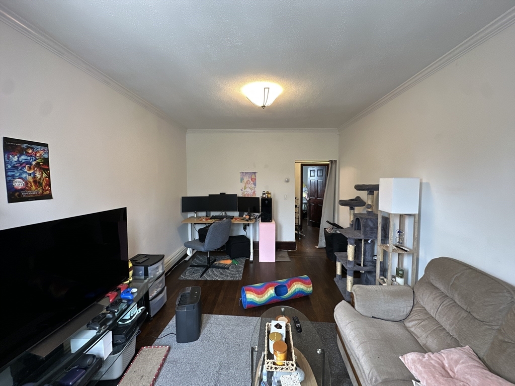435 Walnut Avenue, Unit 8 Boston, MA 02119 - Photo 2 of 12 a living room with furniture and a flat screen tv