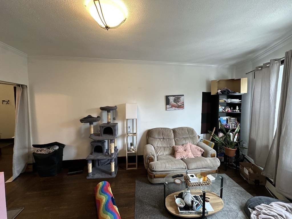435 Walnut Avenue, Unit 8 Boston, MA 02119 - Photo 3 of 12 a room with furniture a rug and gym equipment