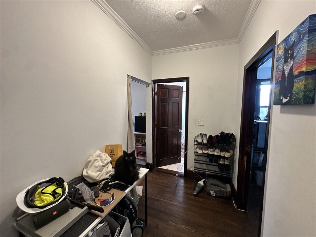 435 Walnut Avenue, Unit 8 Boston, MA 02119 - Photo 8 of 12 a living room with furniture and wooden floor