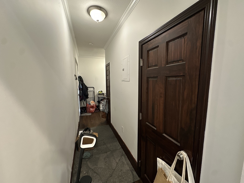 435 Walnut Avenue, Unit 8 Boston, MA 02119 - Photo 9 of 12 a view of a hallway with elevator