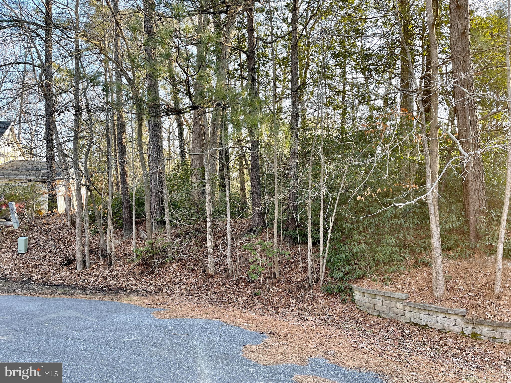3 Harpoon Road Ocean Pines, MD 21811 - Photo 3 of 22