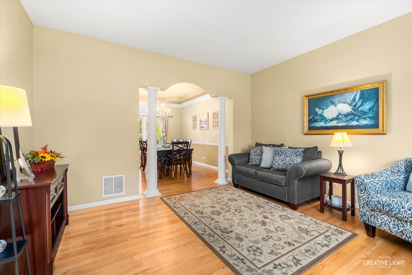 2543 Dewes Lane Naperville, IL 60564 - Photo 4 of 47 a living room with furniture and a rug