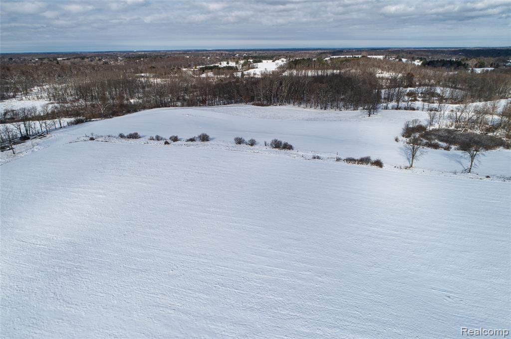 4476 Merwin Road Lapeer, MI 48446 - Photo 34 of 41