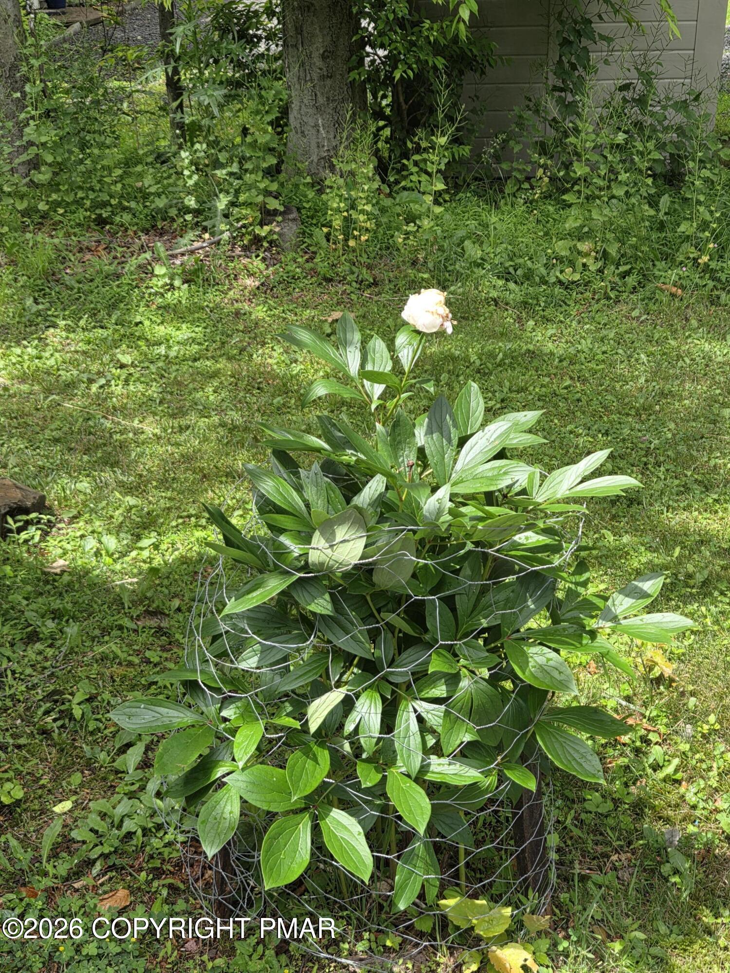 4142 Romeo Road Tobyhanna, PA 18466 - Photo 73 of 80 Landscaping