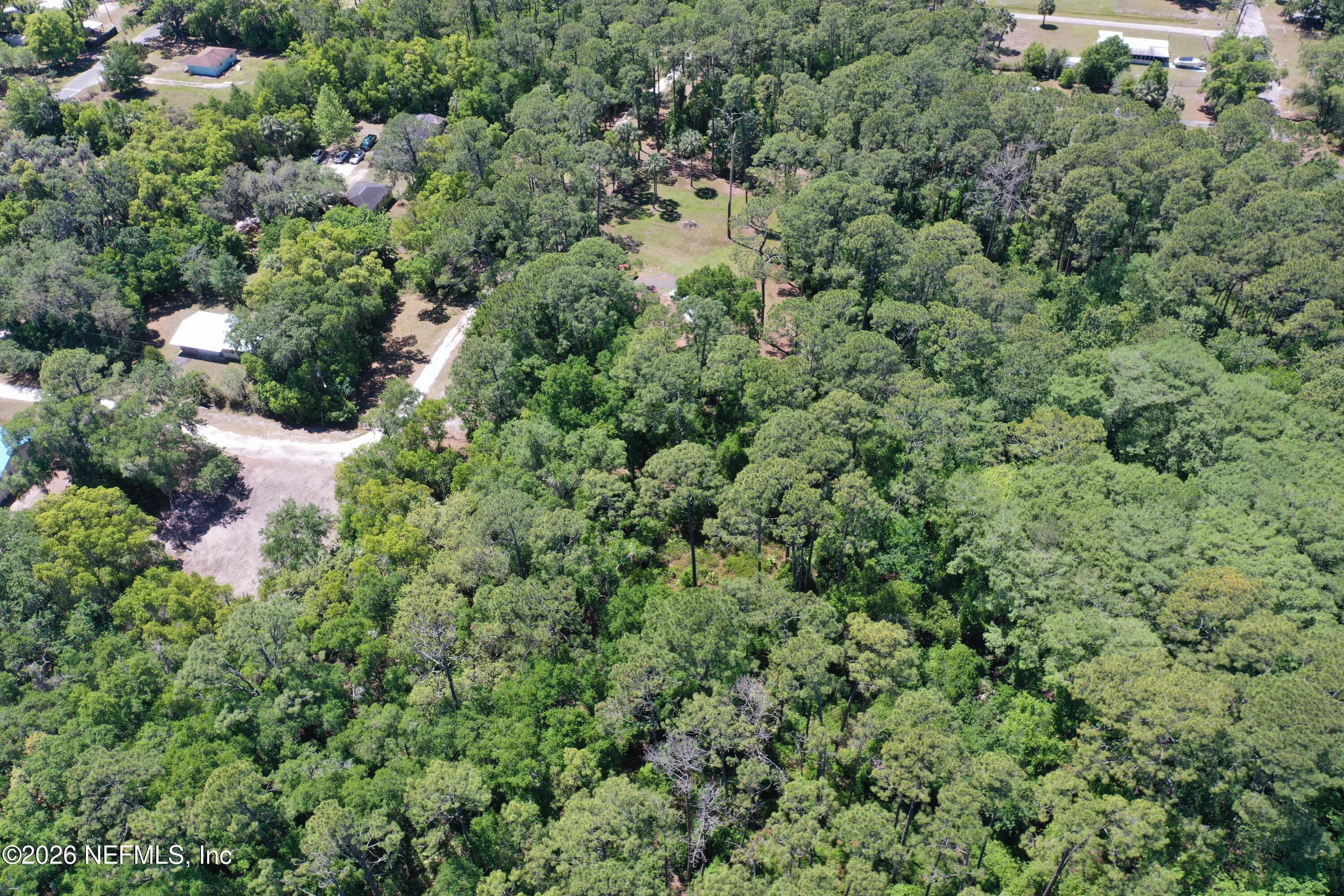 0 Walnut Street Welaka, FL 32193 - Photo 25 of 25 org_1ae4a9ce8c346890_1744476760000