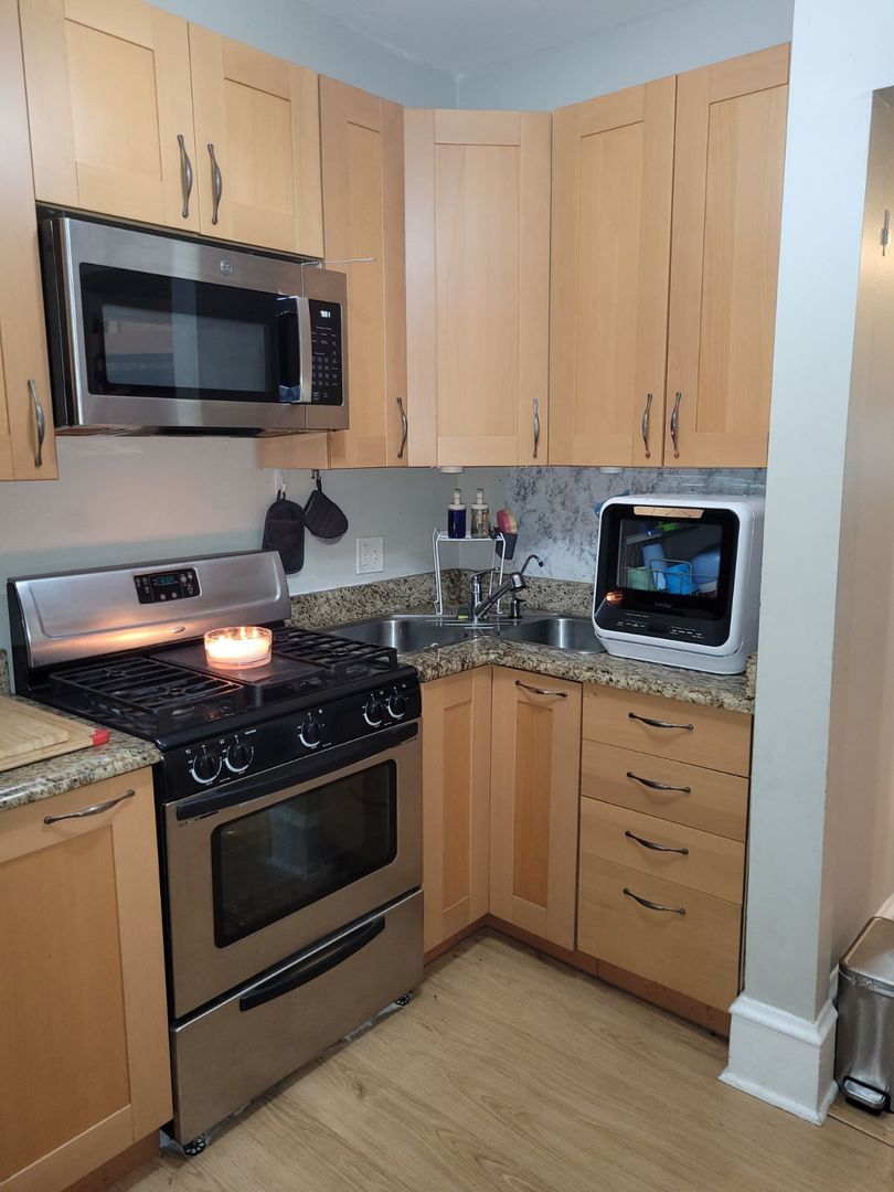 423 East Chicago Street, Unit B Elgin, IL 60120 - Photo 4 of 13 a kitchen with stainless steel appliances granite countertop a stove and a microwave