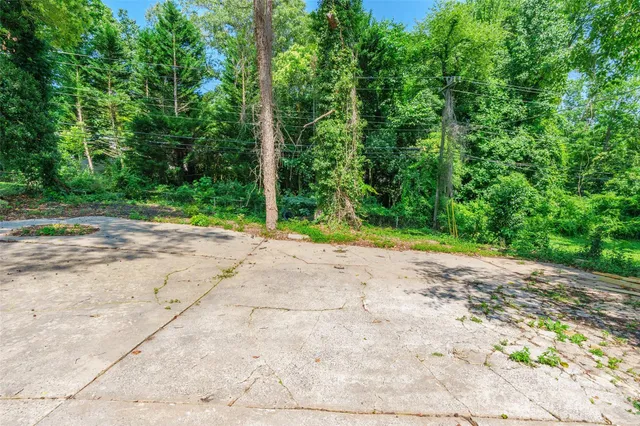 a view of a yard with plants
