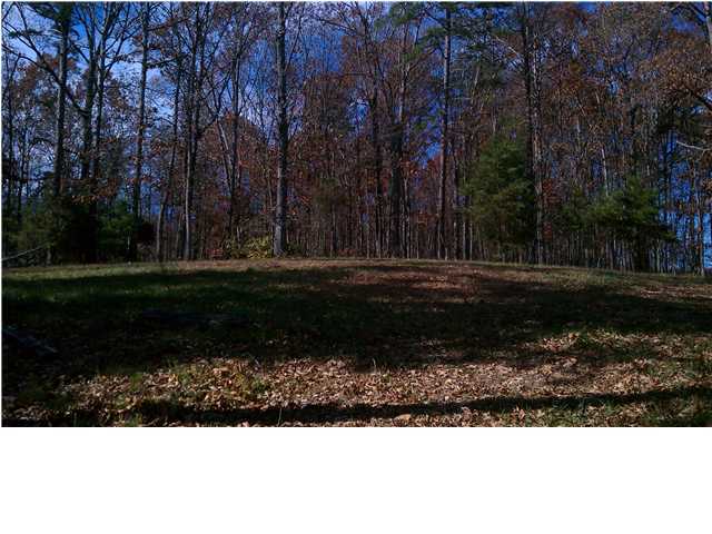 7501 Chad Road Harrison, TN 37341 - Photo 3 of 8 Additional Photo