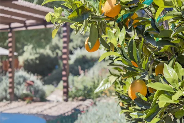 $1,350,000 | 525 South Ventura Street, Ojai, CA 93023