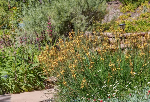 $1,350,000 | 525 South Ventura Street, Ojai, CA 93023