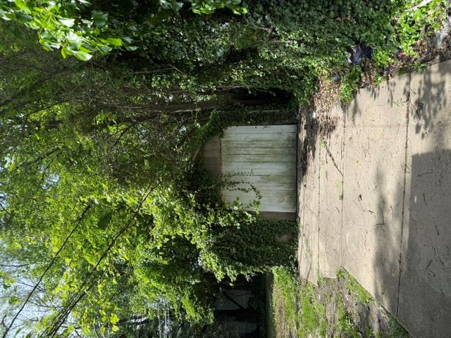 19942 McCormick Street Detroit, MI 48224 - Photo 2 of 12 IMG_4249.jpeg
