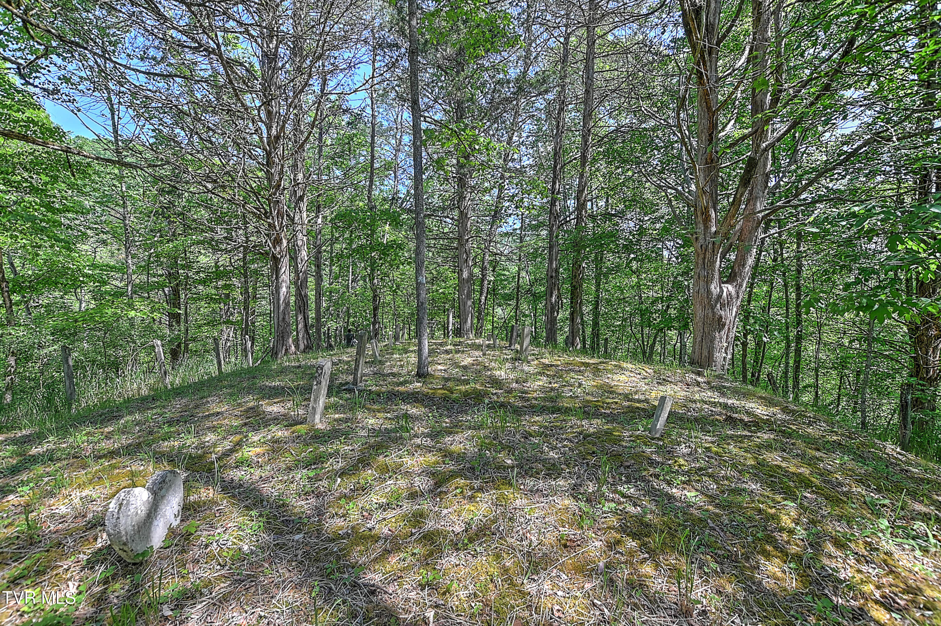 3388 Flower Gap Road Blackwater, VA 24221 - Photo 141 of 161 3388 Flower Gap Rd DS-142