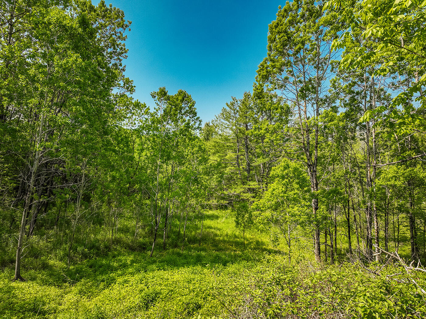 0 Branch Brook Road Thomaston, ME 04861 - Photo 2 of 11 DJI_0136