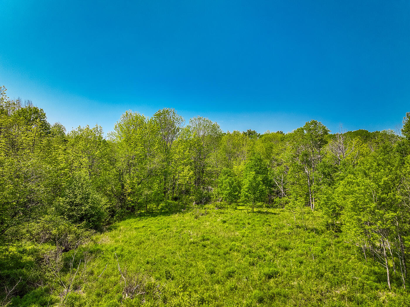 0 Branch Brook Road Thomaston, ME 04861 - Photo 9 of 11 DJI_0156