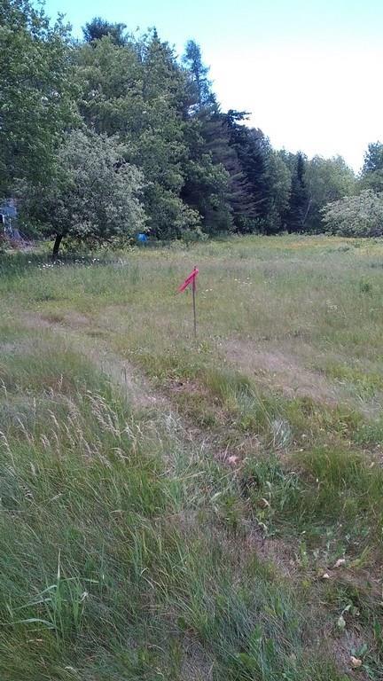 87 Jacob Buck Pond Road Bucksport, ME 04416 - Photo 12 of 16 Septic Field.