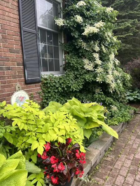 328 East Tratebas Road Valparaiso, IN 46383 - Photo 47 of 48 a bunch of flowers in front of house
