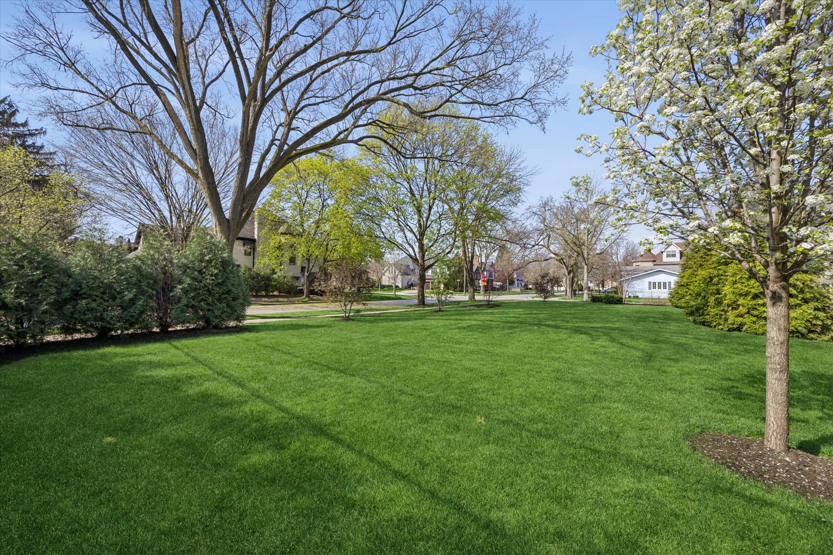405 Phillippa Street Hinsdale, IL 60521 - Photo 11 of 44 a view of yard with green space