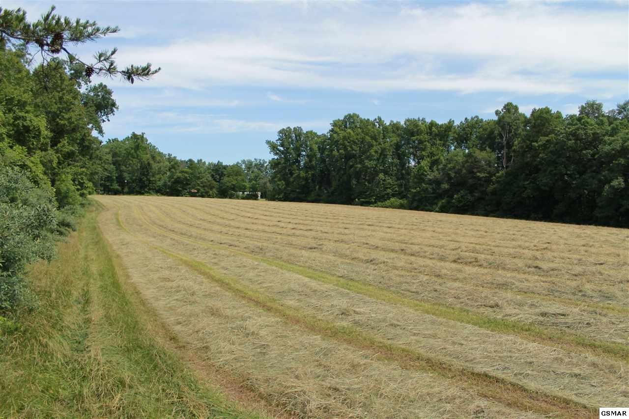 0 Jr Cox Road Lancing, TN 37770 - Photo 10 of 35 Gallery Image 10