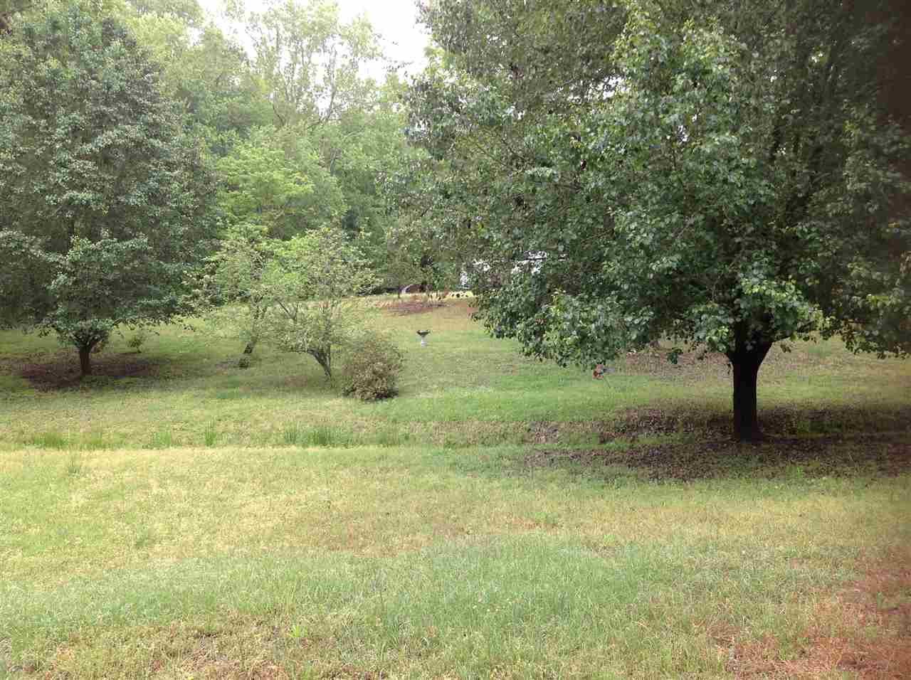 2092 Johnston County Road Benson, NC 27504 - Photo 5 of 5 Photo 5