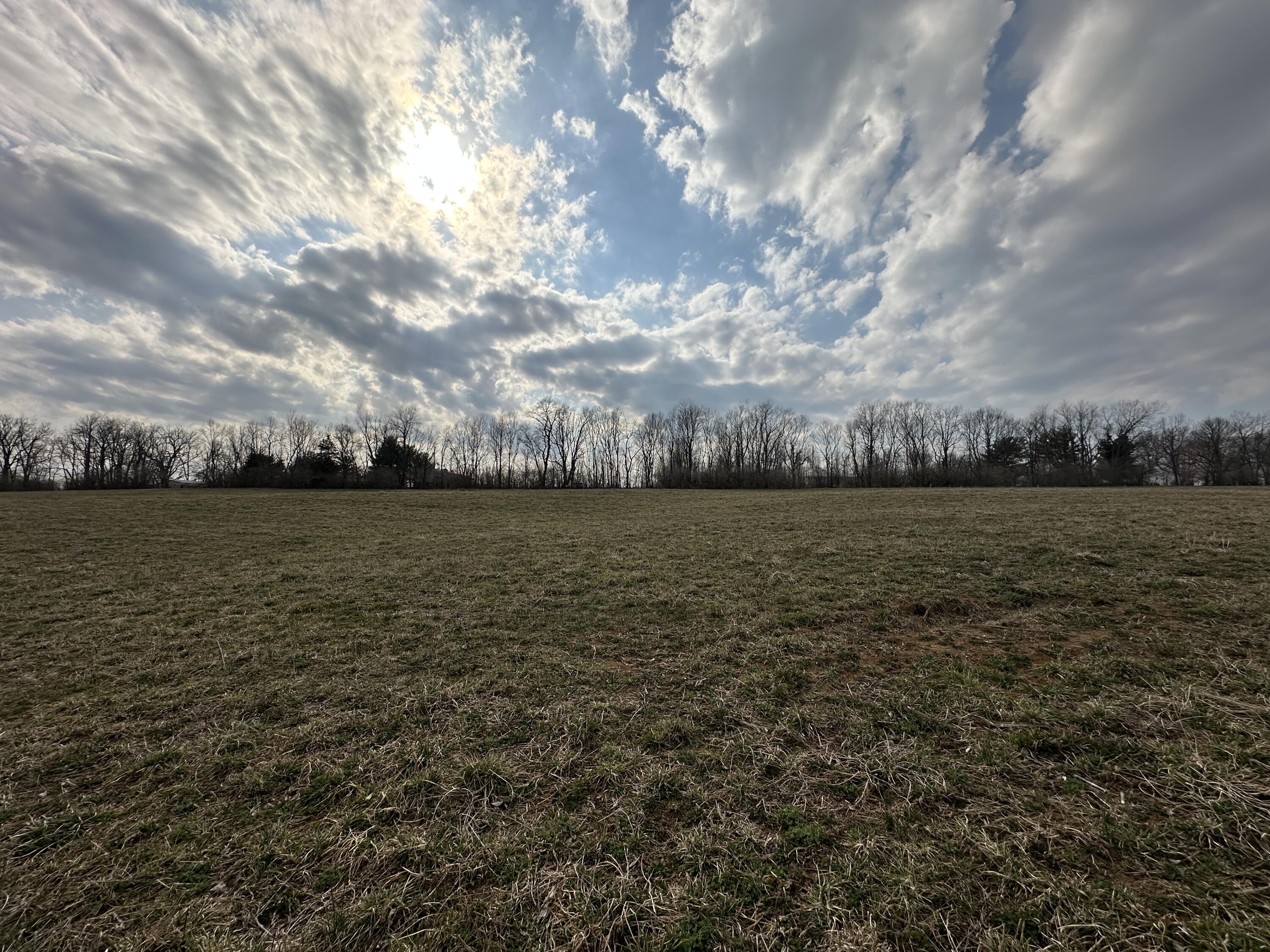 2001 Walnut Grove Road Carlisle, KY 40311 - Photo 8 of 8 Lot