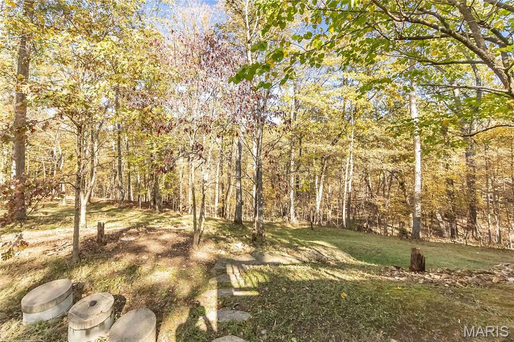 3924 Indian Ridge Lane Defiance, MO 63341 - Photo 40 of 53