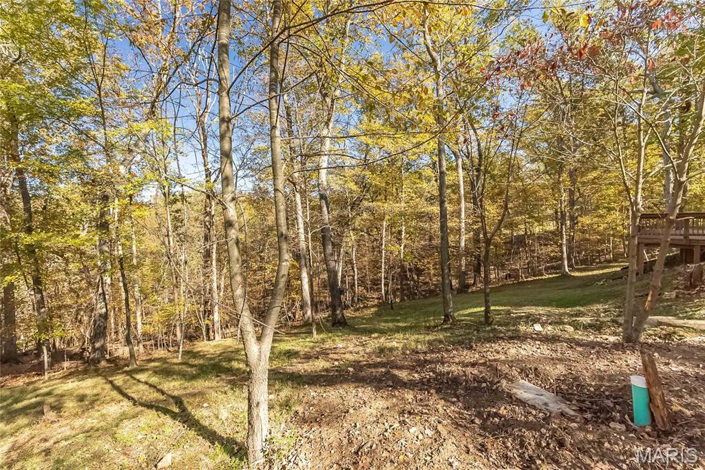 3924 Indian Ridge Lane Defiance, MO 63341 - Photo 41 of 53