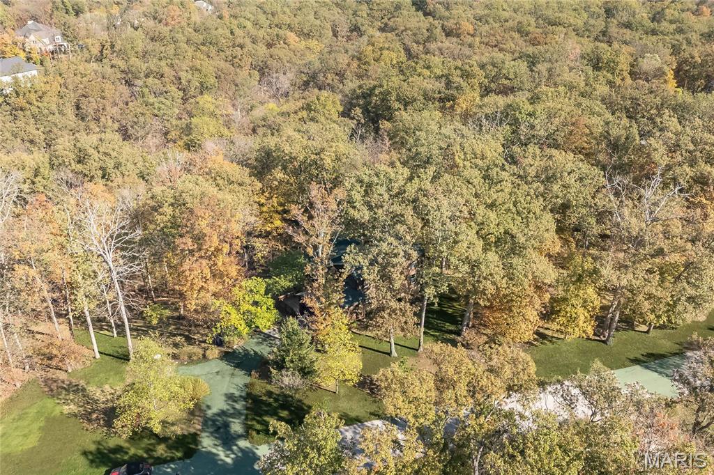 3924 Indian Ridge Lane Defiance, MO 63341 - Photo 44 of 53