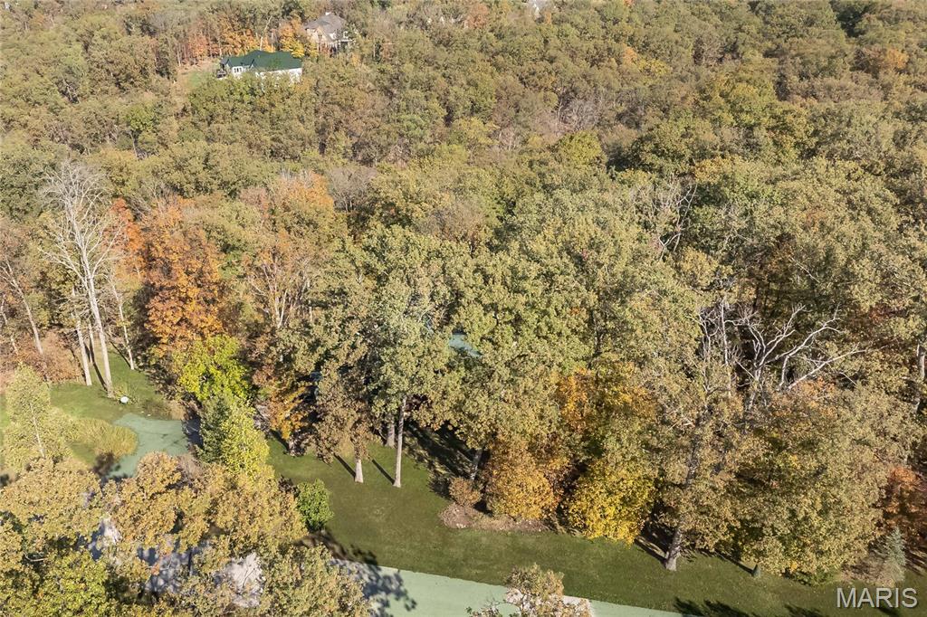 3924 Indian Ridge Lane Defiance, MO 63341 - Photo 45 of 53