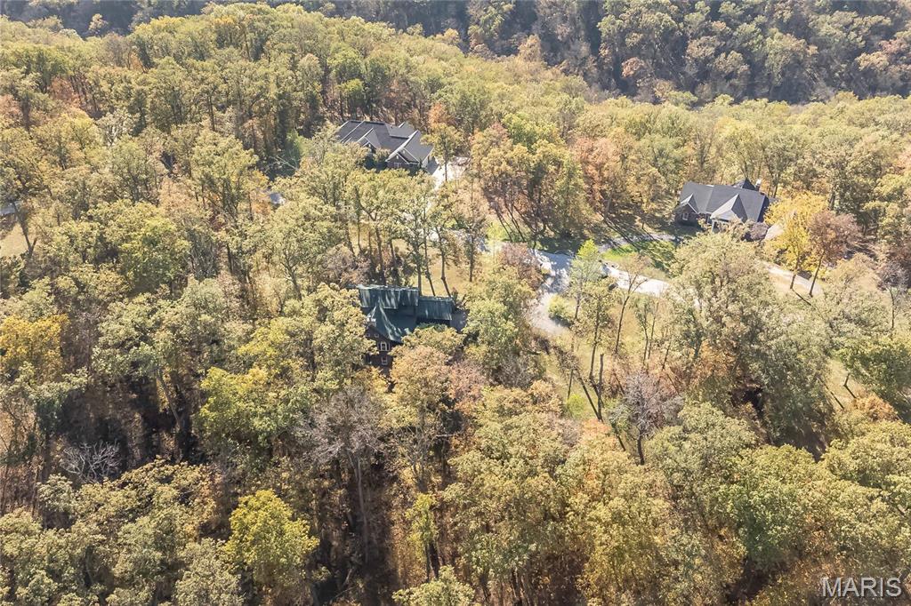 3924 Indian Ridge Lane Defiance, MO 63341 - Photo 46 of 53