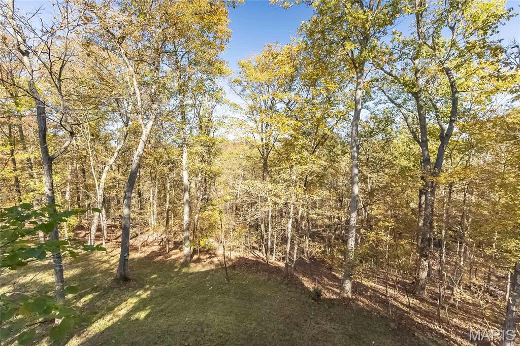 3924 Indian Ridge Lane Defiance, MO 63341 - Photo 52 of 53